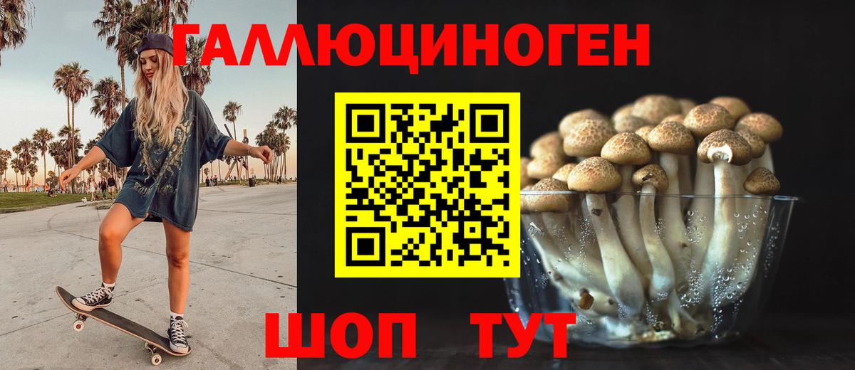 Меф Димитровград