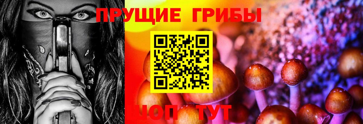 Димитровград  Галлюциногенные грибы Psilocybine cubensis  как найти закладки  Вход с VPN 