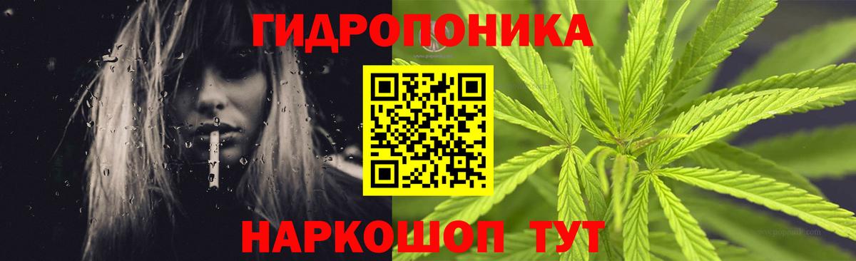 Марихуана Ganja  МАРИХУАНА ГИДРОПОН  Димитровград  Бошки марихуана марихуана  Канабис гибрид  Вход с VPN 